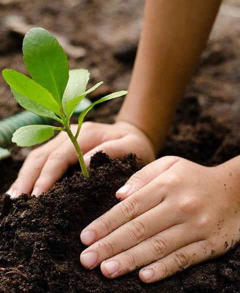 Social Responsibility